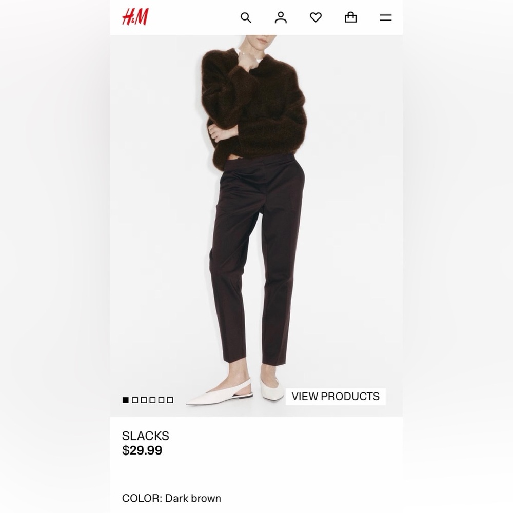 H&M Dark Brown Cropped Pants
